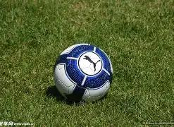 鄭欽文收入,暴漲引注目,成為,博鱼体育官网,博鱼体育app,博鱼体育APP下载