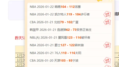 揭秘澳超赛场隐形巨头：这位“神秘核心”正悄悄扭转战局！
