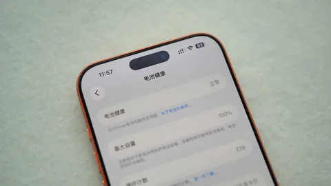 独家：马拉加俱乐部继承人德国被捕，引渡命运未卜